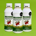 IPROSSMEN